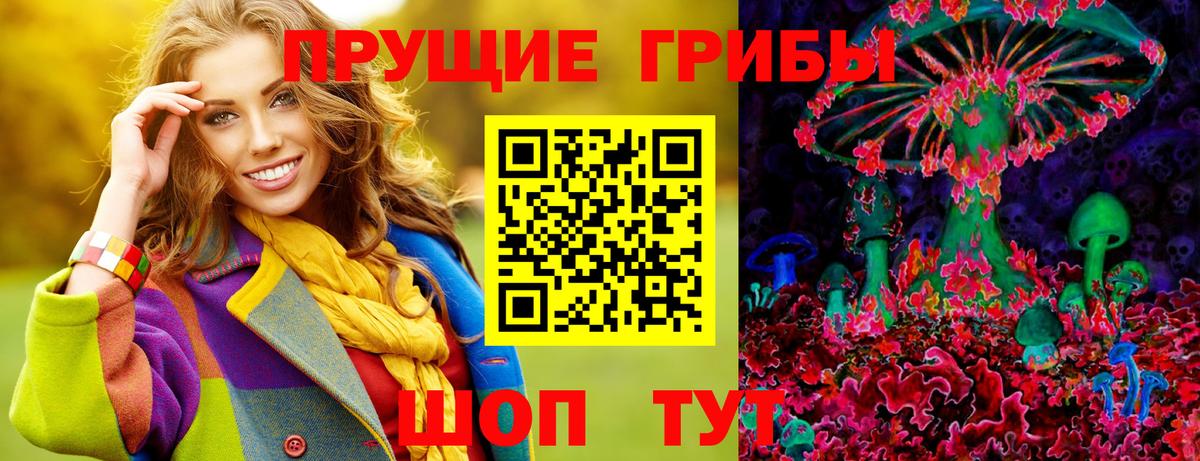Ефремов  Псилоцибиновые грибы Psilocybe  Вход с VPN 